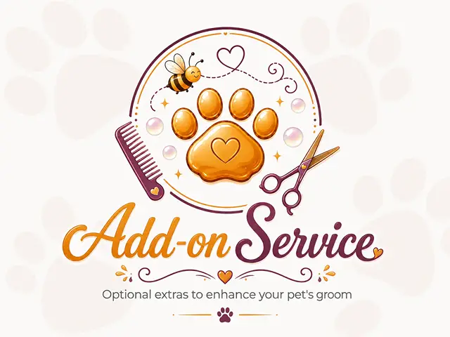 add-on-service